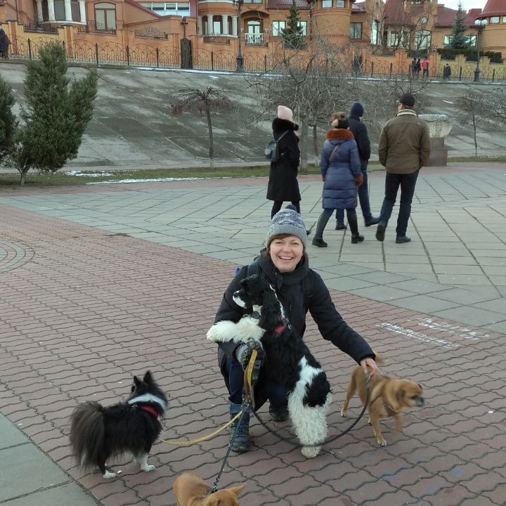 Фото Погуляю с Вашей собачкой  1