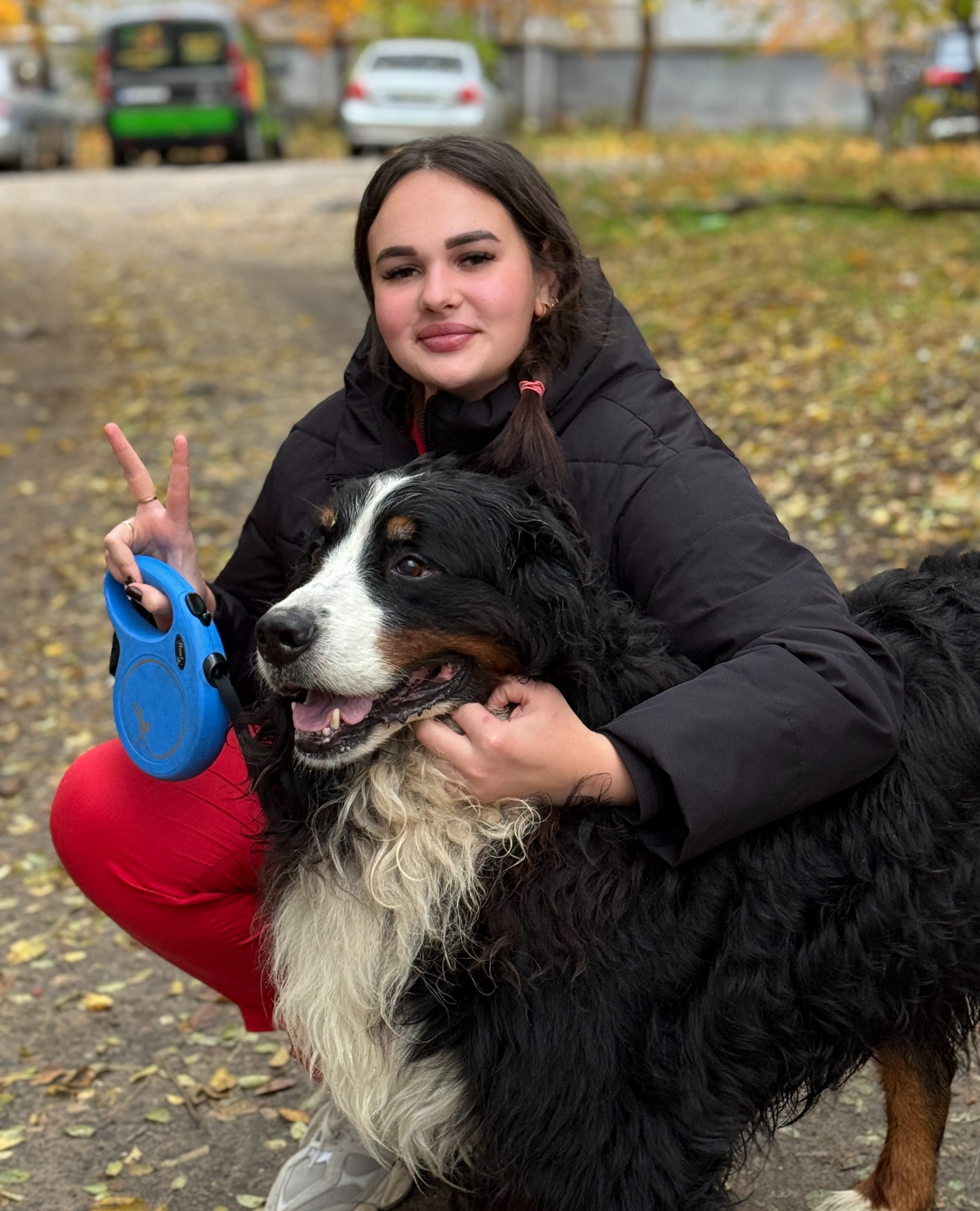 Фото Ветеринар онлайн — консультації для котів і собак 3