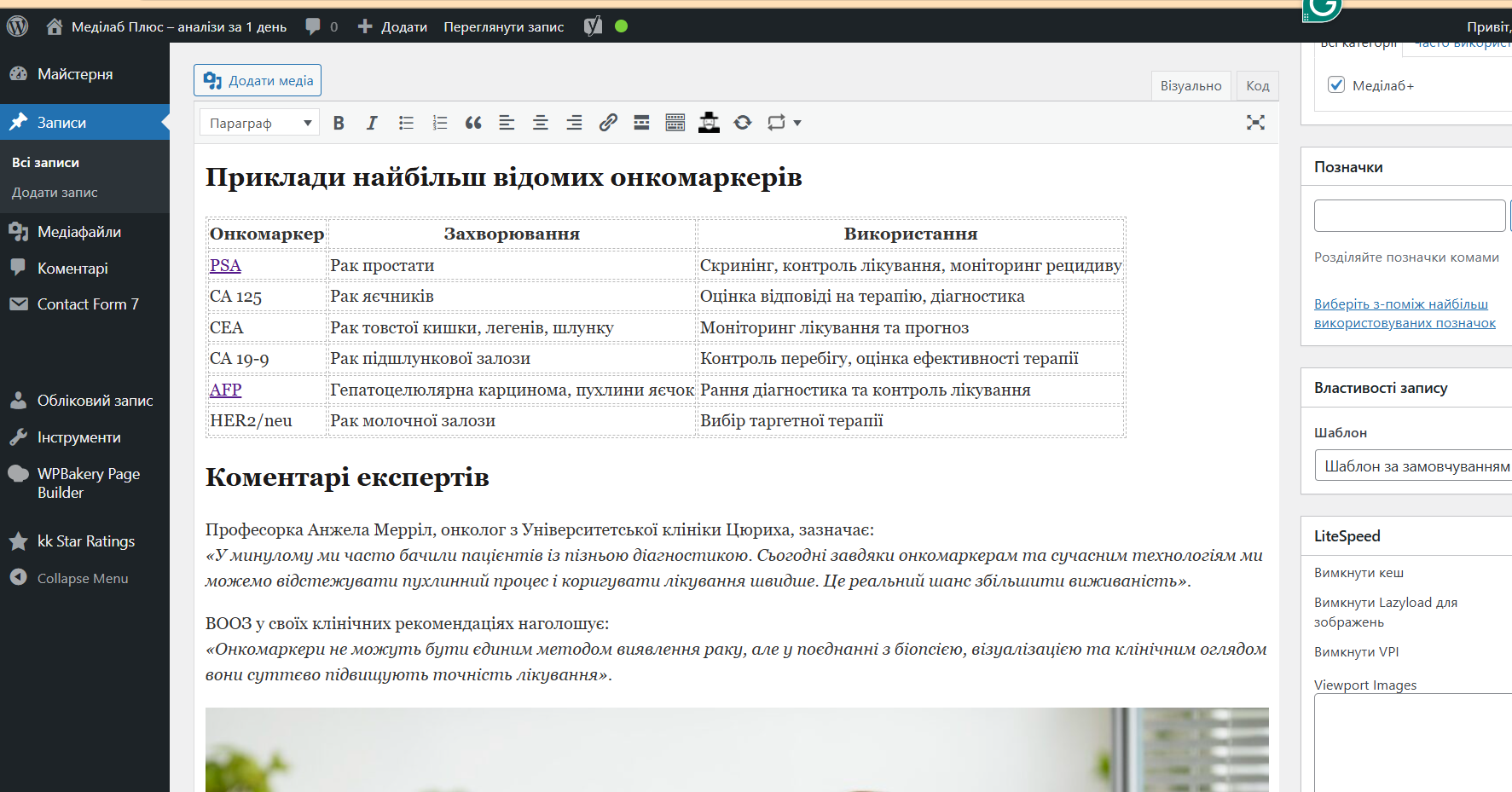 Фото Написання SEO-статей на Wordpress