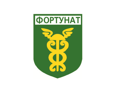 Фото Таможенное оформление автомобилей 1