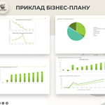 Розробка бізнес-плану для отримання гранту від держави
