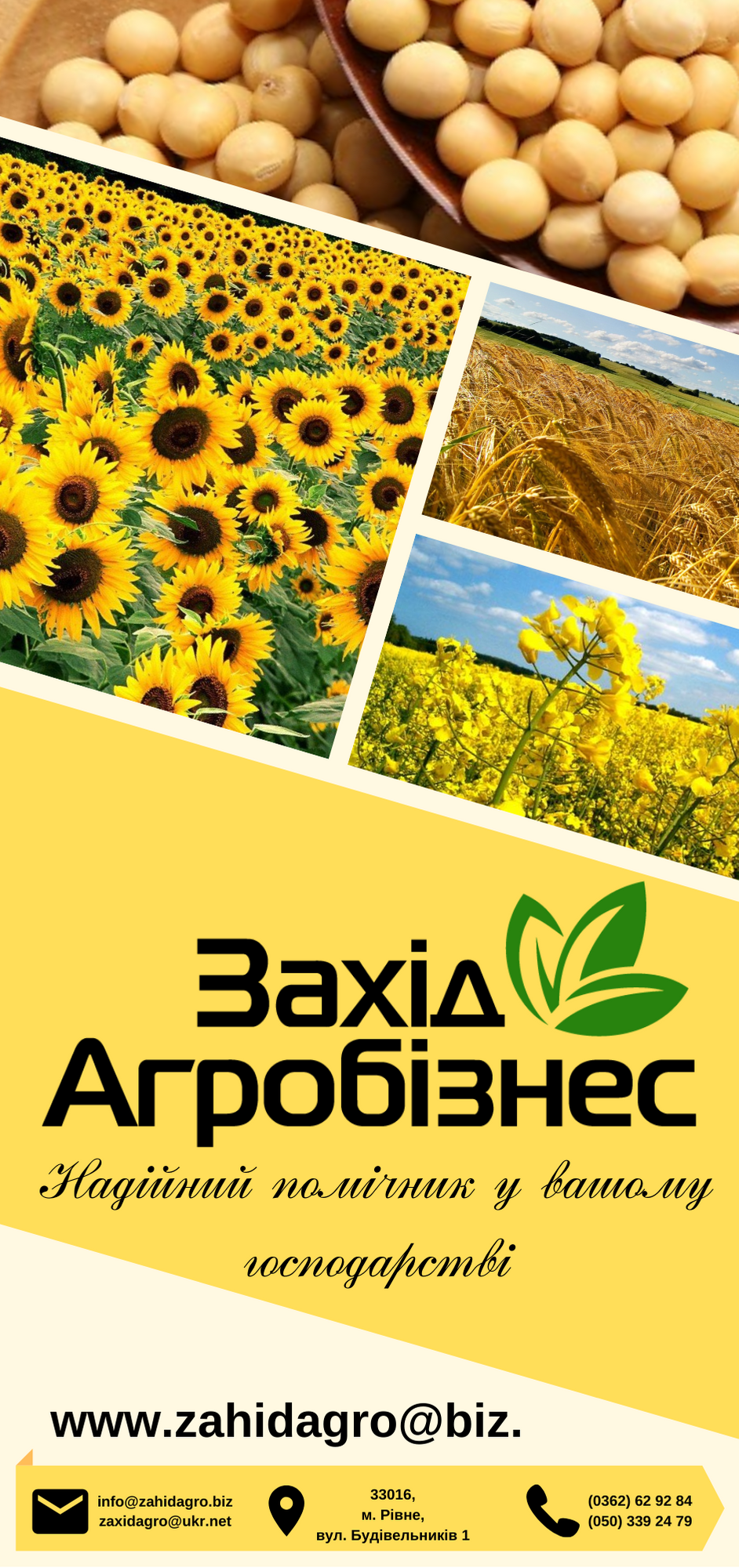 Фото Создание дизайна флаеров, затрачено менее 3х часов