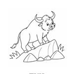 Фінансова ринок 