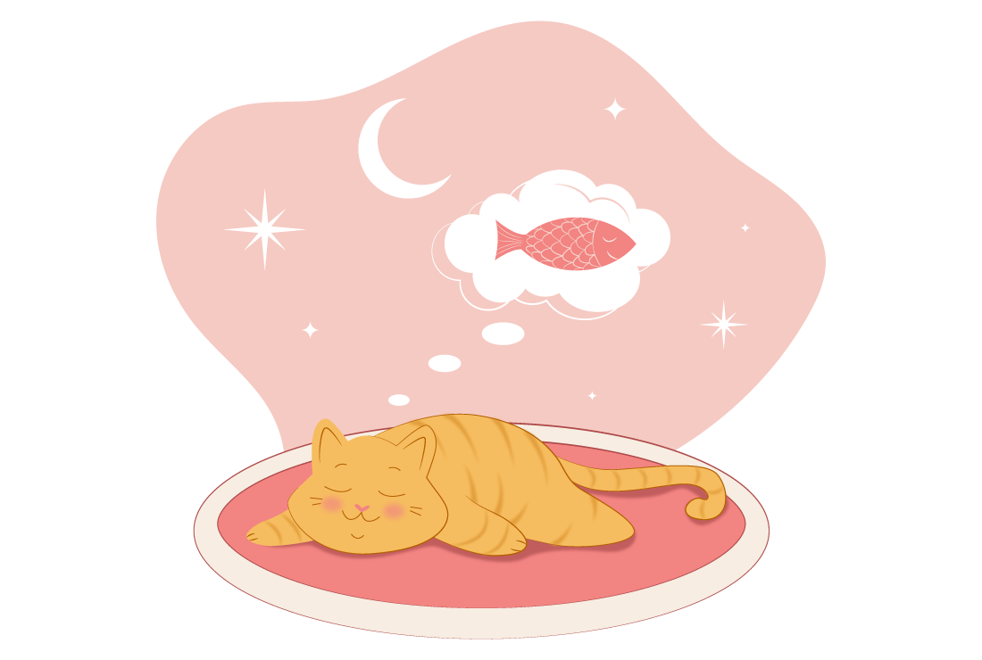 Фото Adobe Illustrator.