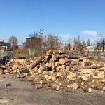 Рубка дров в Харькове