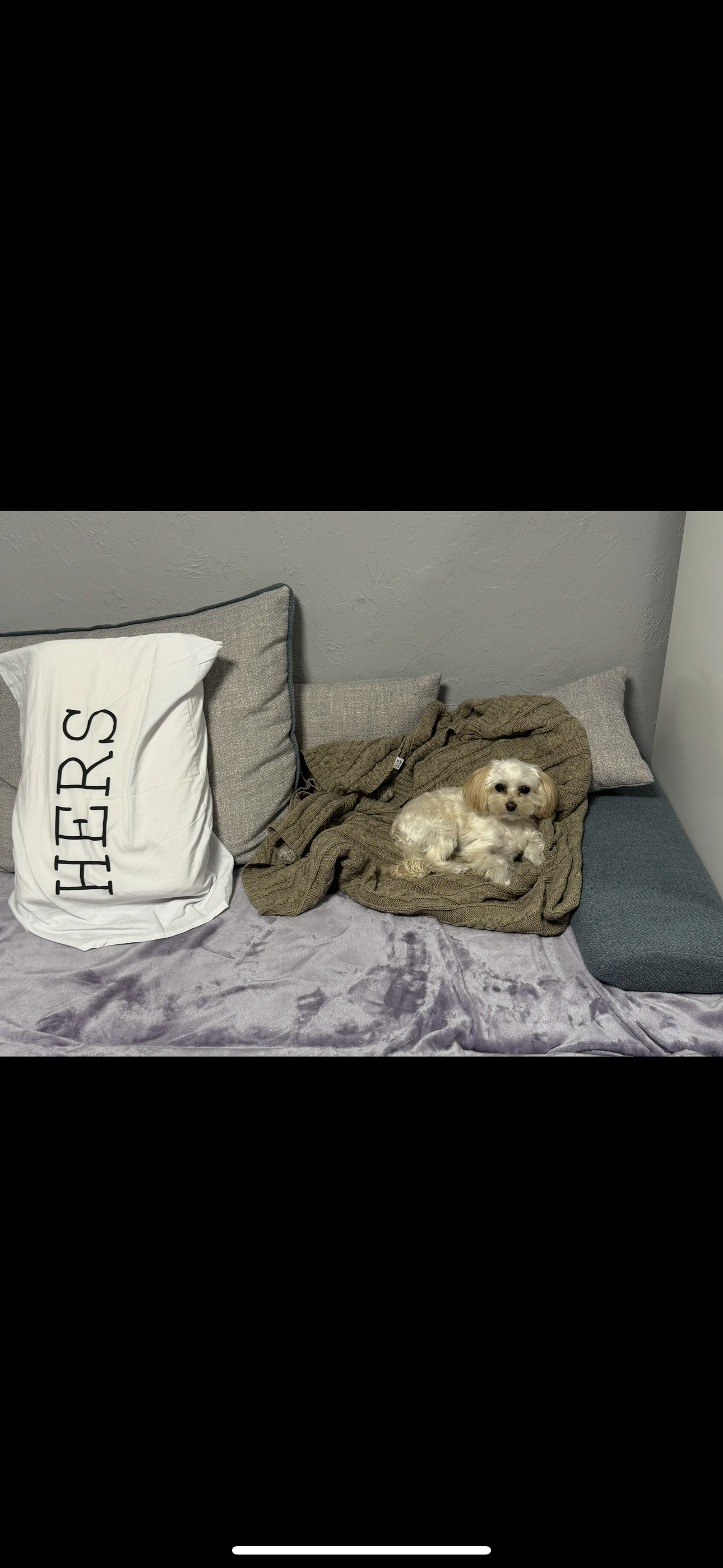 Фото и снова у меня в уюте )