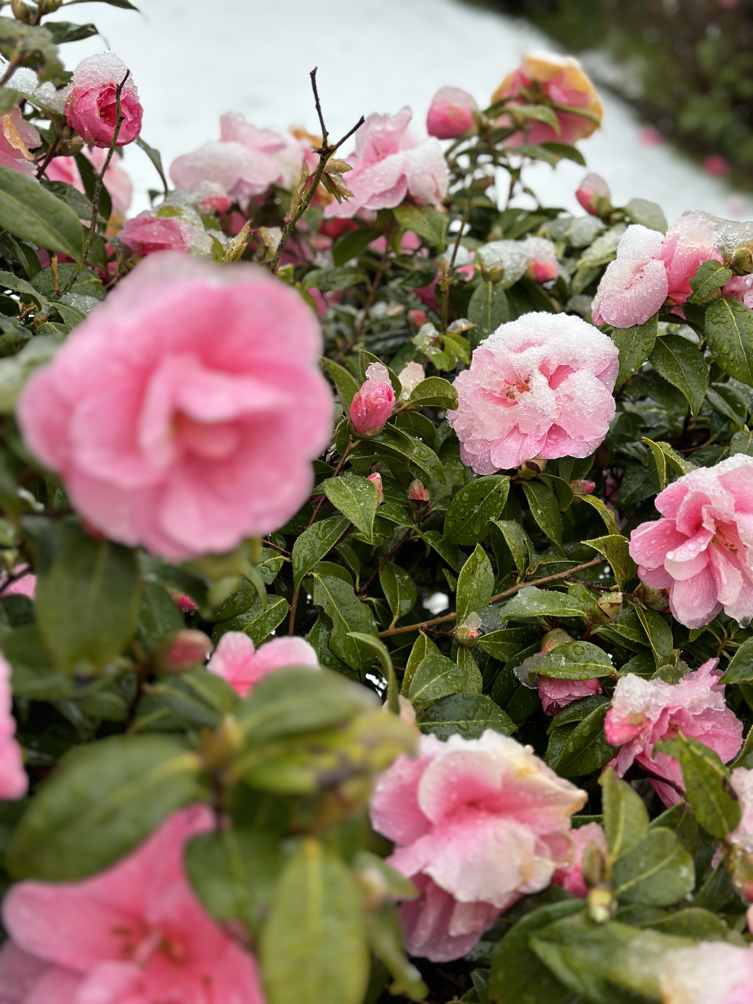 Фото Обробка фото 3