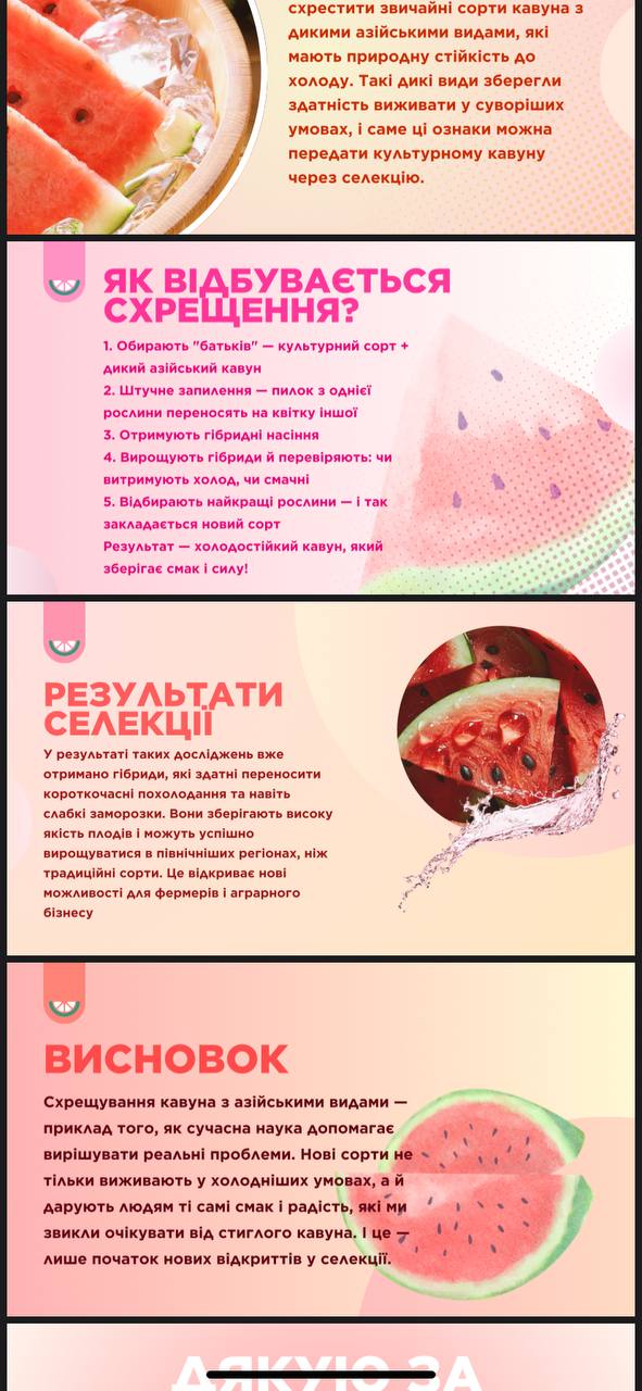 Фото Створення красивих та інформативних презентацій (шкільні, навчальні, для проєктів) 2