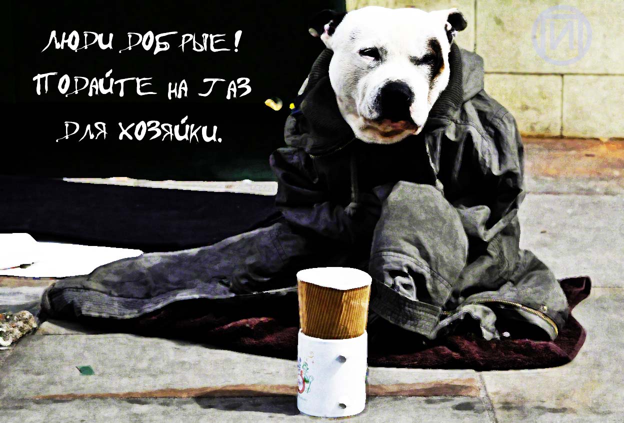 Фото Сделаю для вашего сайта демотиваторы, мемы, фотожабы  по вашему ТЗ. 3