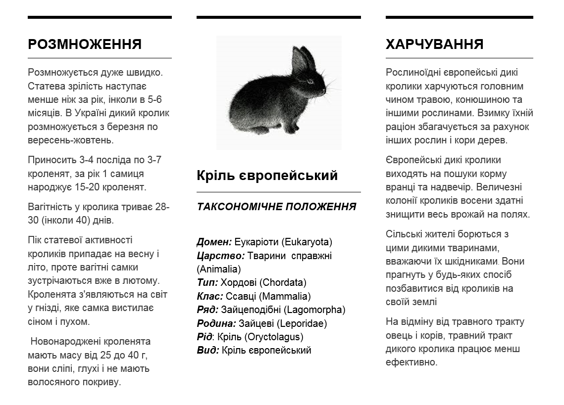 Фото Набор текста по минимальной цене 3