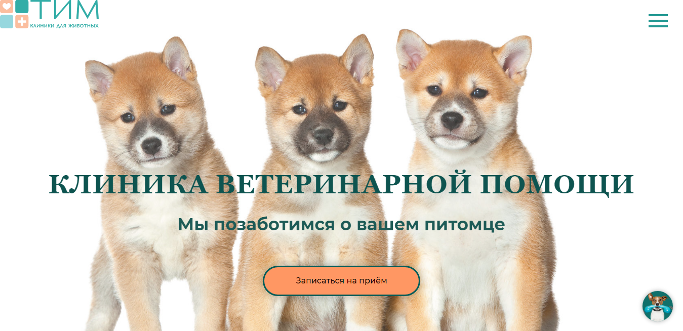 Фото Редизайн сайта (разработка дизайна, верстка на Tillda, настройка и т.д.)