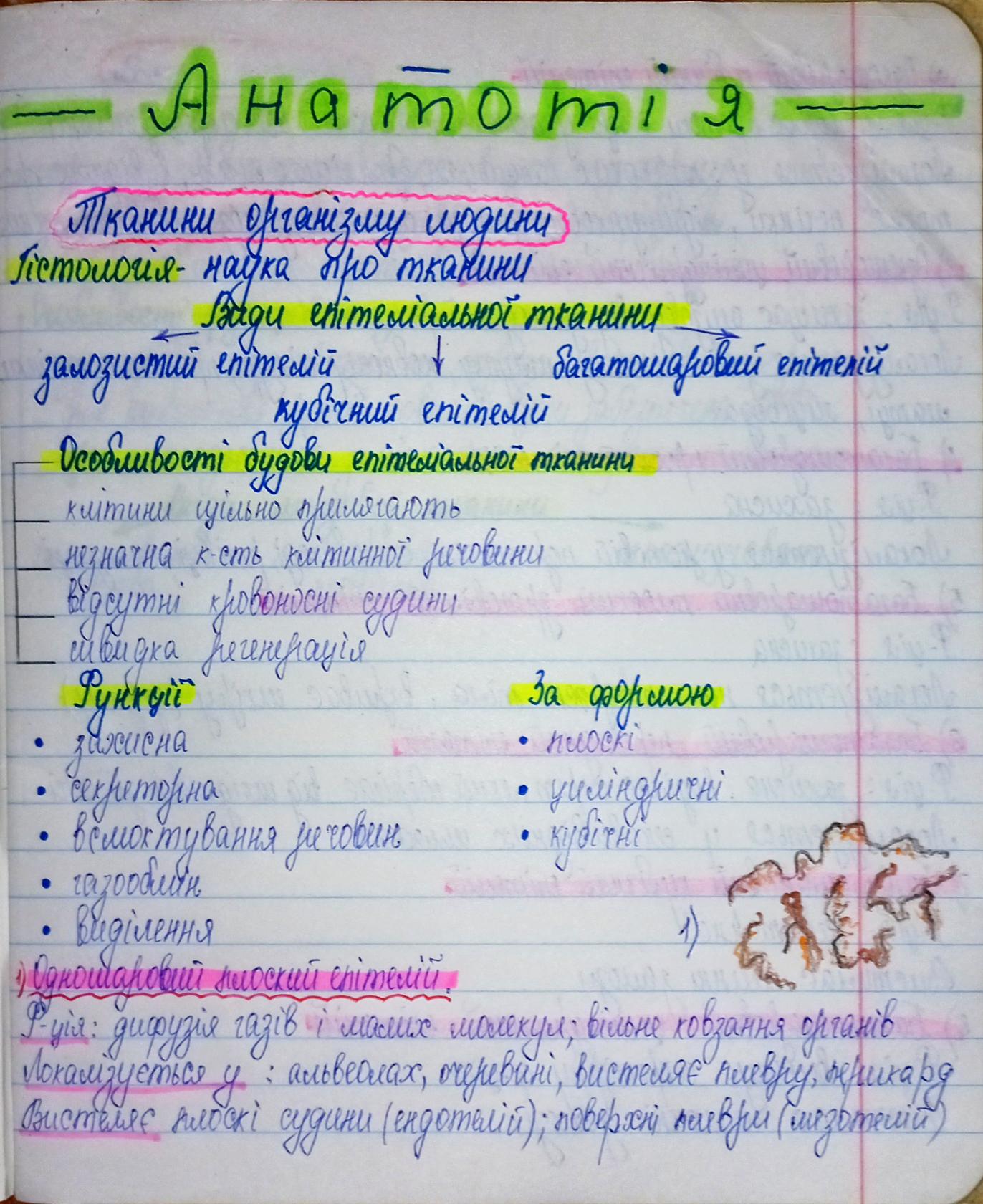 Фото Написання/перепис конспекту 1