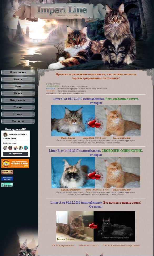 Фото Верстка и натяжка на wordpress