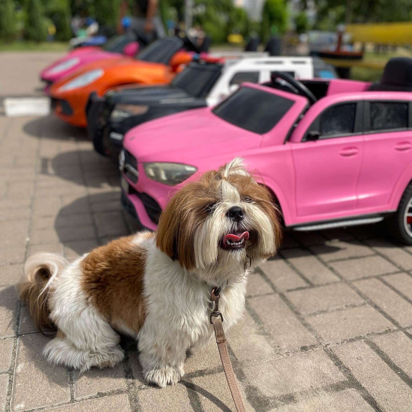 Фото Милий Барні