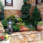 Комплексний догляд за садом Біла Церква. Реанімація рослин. консултація