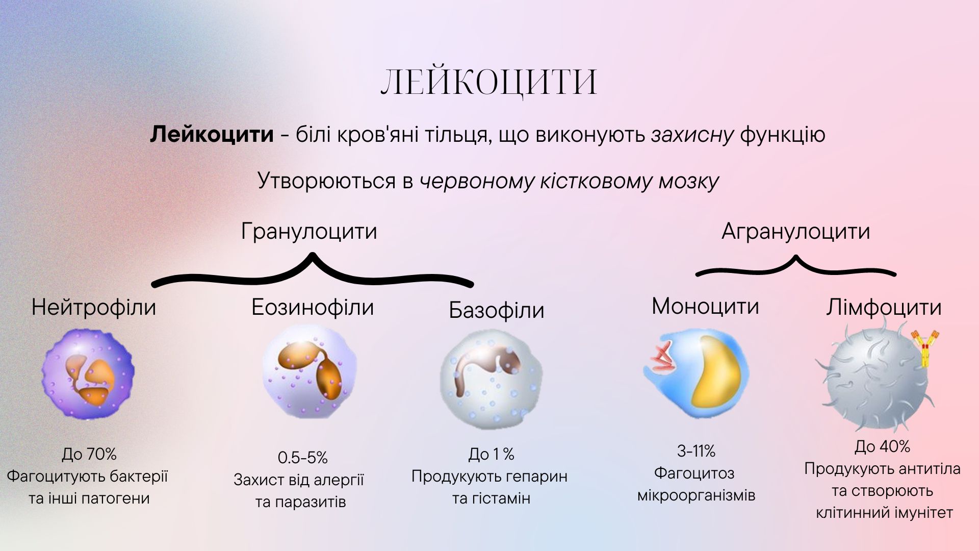 Фото Вчитель біології 1