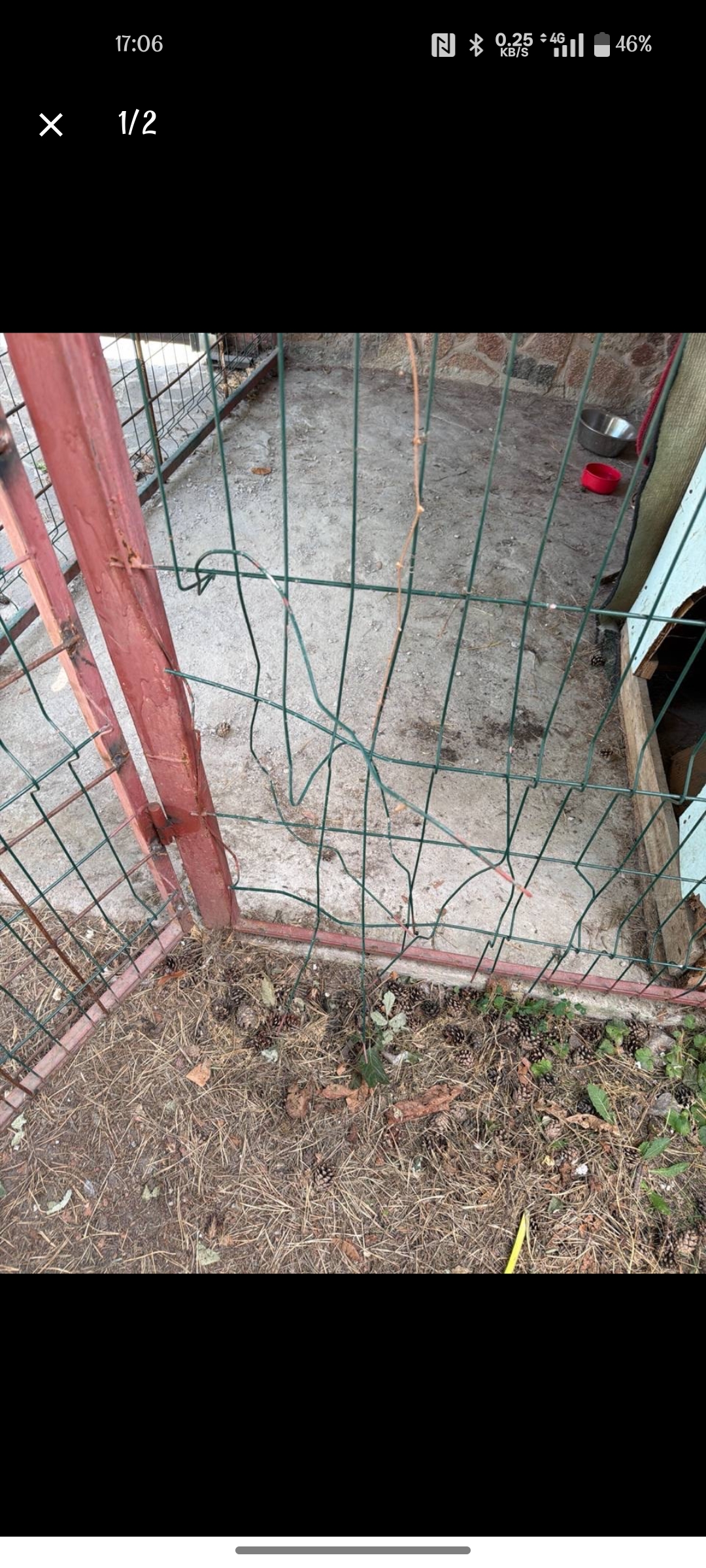 Фото Собаки розірвали та погнули решітку вольєра. Потрібно було вирізати пошкоджену частину, відрихтувати та підсилити стіни.
