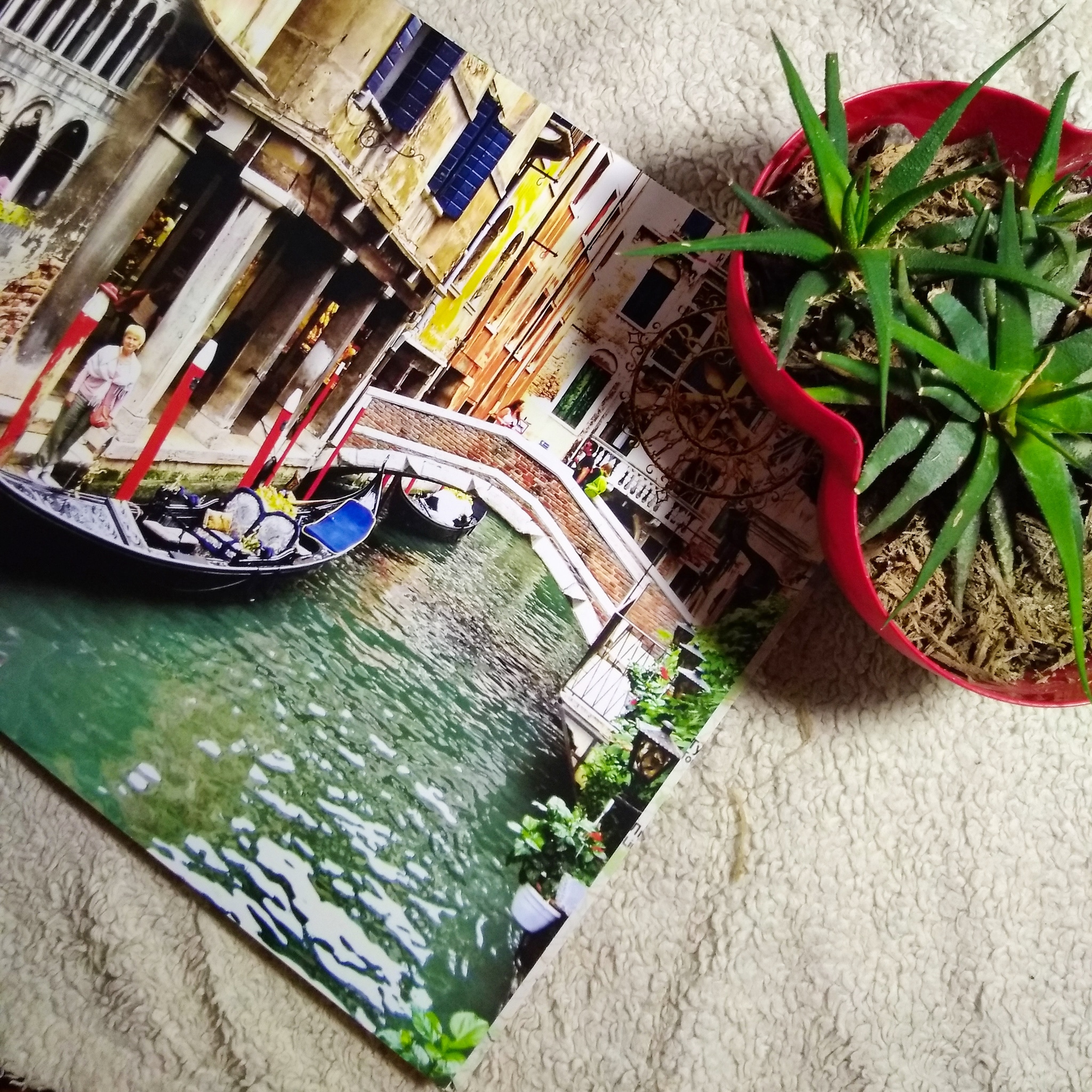 Фото Изготовление фотокниг и Instabook 1