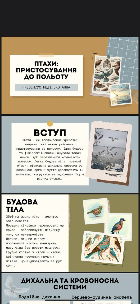 Фото Презентація на тему "Птахи: пристосування до польоту".
Створена у Canva. Містить 8 слайдів: вступ, основні фізіологічні особливості птахів, ілюстрації, приклади, висновки.
Дизайн чистий і зрозумілий, інформація подана структуровано й доступно. Підійде для освітніх проєктів або наукових доповідей.
Час виконання — 1 день. Можу зробити швидко й якісно.
