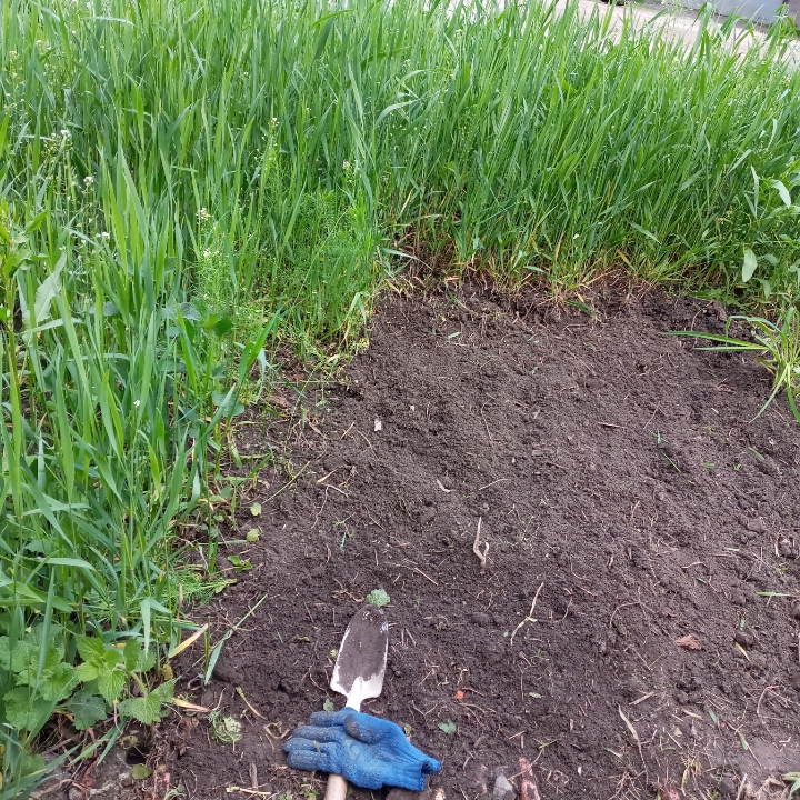 Фото Садовые и полевые работы. 2