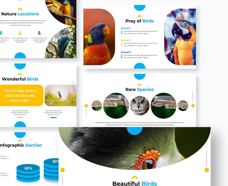 Фото Graphic design