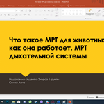 Создаю презентации для школы/университетов